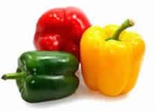 Capsicum