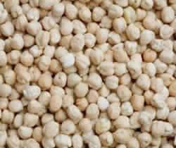 Chick Peas