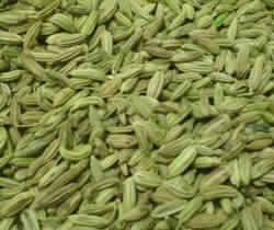 Fennel Seeds