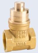 MAGNETIC BRASS GATE VALVE