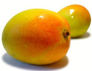 Indian Mango fruits