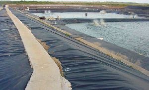 Ldpe Geomembrane Sheet