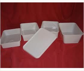 Plastic Rectangular Container