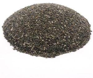 Basil Seed