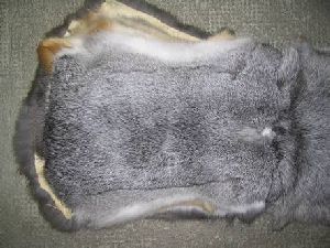 Rabbit Fur