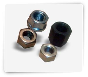 Hex Nuts