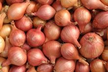 Red Onion