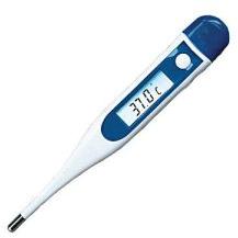 Ashton Digital Thermometer