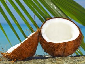 Coconut