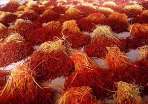 kashmeri saffron