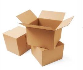 Virgin Carton Box (Food grade)