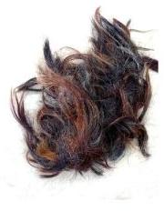 Buffalo Tail Hair