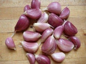 Fresh Garlic