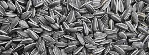 Sunflower Seeds