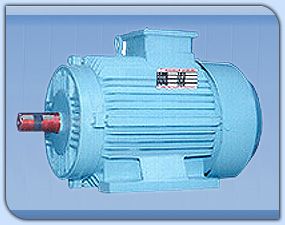 Ac. Induction Electric Motor