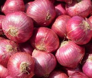 Kibbled Onion