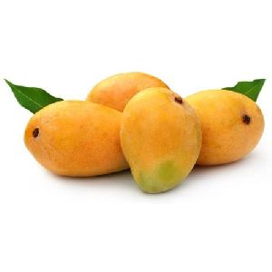 fresh organic mango