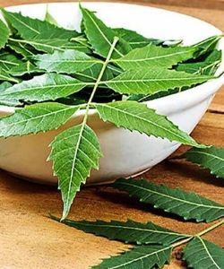 Neem Powder