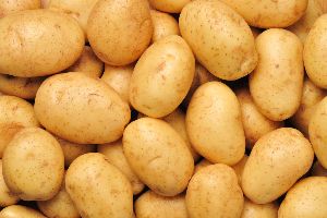 Fresh Brown Potato