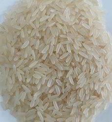 IR 36 Silky Sortex Rice