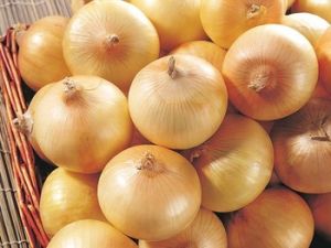 Fresh Yellow Onion