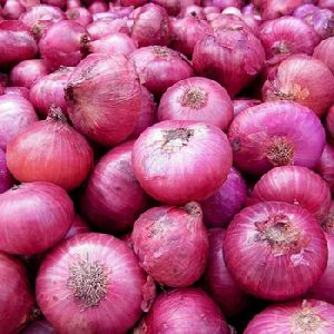 Fresh Red Onion