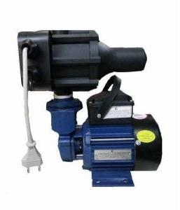 Domestic Boosting Pressure Water Pump