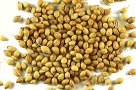 Coriander Seed