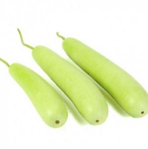 Fresh Bottle Gourd