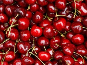 Fresh Cherry