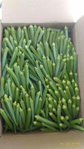 Fresh Okra