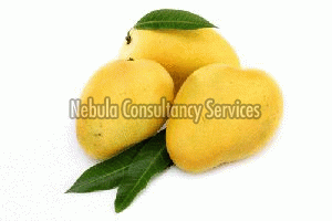 Fresh Baneshan Mango