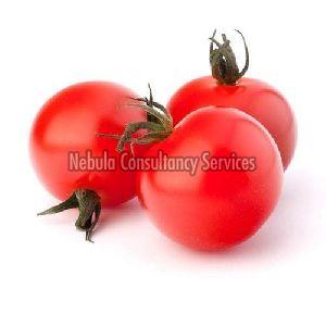 Fresh Cherry Tomato