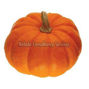 Fresh Natural Pumpkin