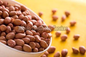 Natural Groundnut Kernels