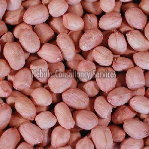 raw groundnut kernels