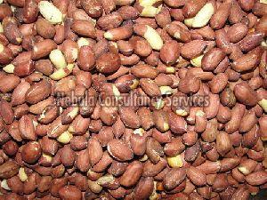 Roasted Groundnut Kernels