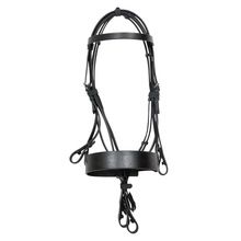 English leather horse bridle, horse bridle leather