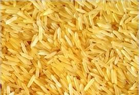 1121 Golden Sella Rice