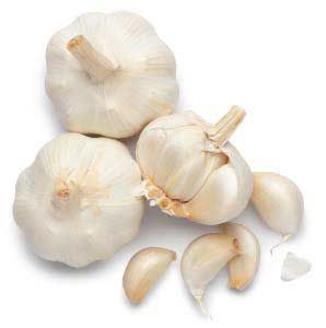 Fresh Natural Garlic