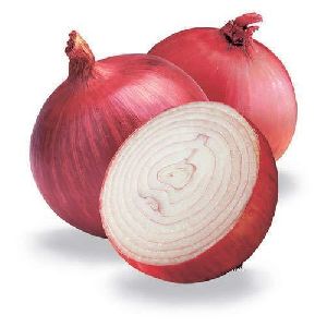 Fresh Natural Onion