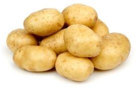 Fresh Natural Potato