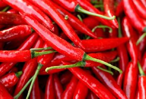 Fresh Natural Red Pepper