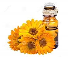 Marigold Essential Oil