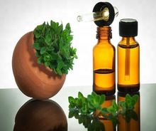 Oregano Oil