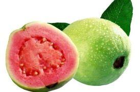 Fresh Guava