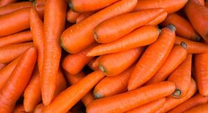 Fresh Carrot