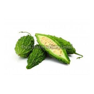 Image result for bitter gourd pic small