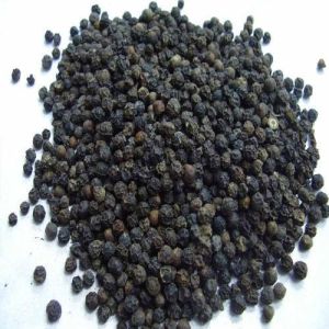 Hybrid Black Pepper Seeds