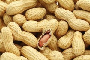 Raw Shelled Peanuts